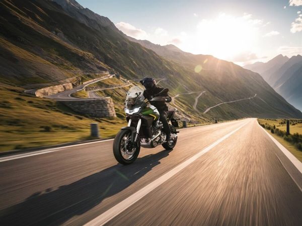 moto-guzzi-stelvio-pff-rider-assistance-solution_gallery_02.jpg